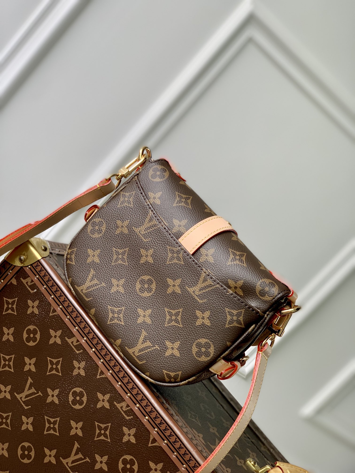 LV Satchel bags
